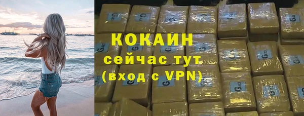 тгк Сатка